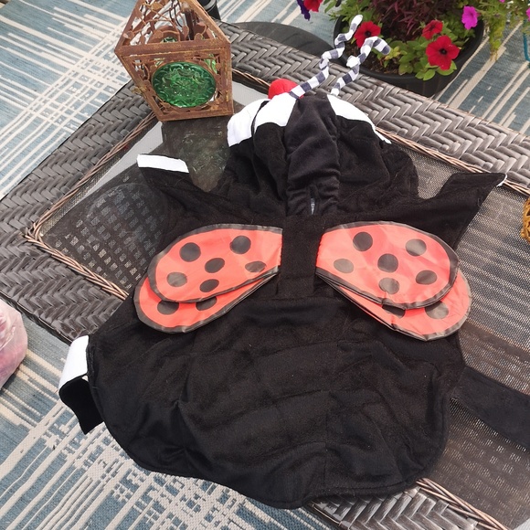 Halloween Dog Costume XL Ladybug 1 Piece Fleece Material See Measurements - Picture 4 of 16